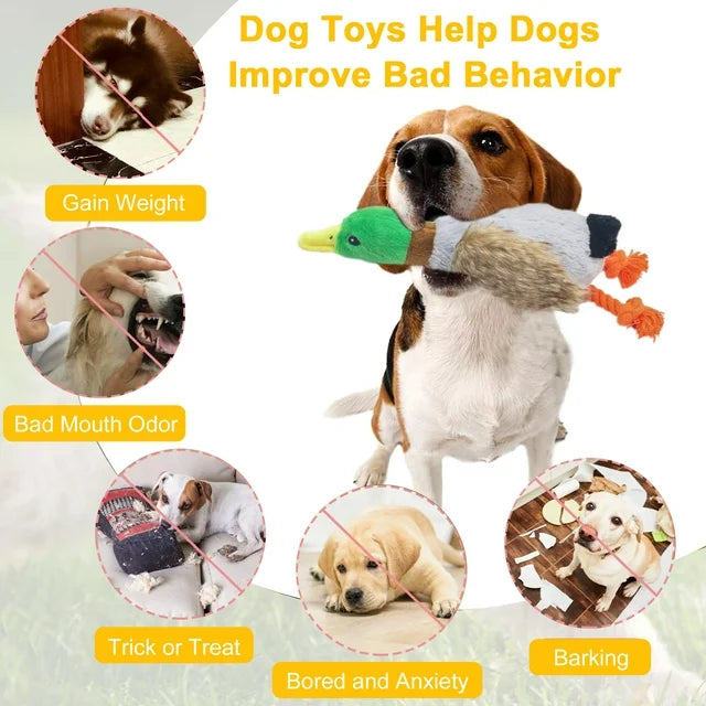 Lugackme 2-Pack Plush Dog Toys, Squeaky Dog Toys, Teething Toys Ducks for Small Dogs